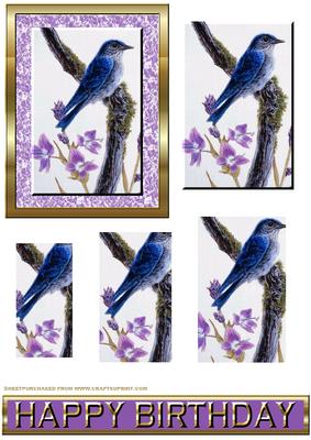 Blue Bird