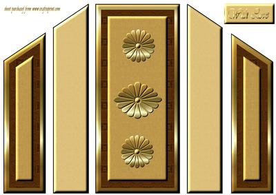 Brown & Gold Theatre Fold