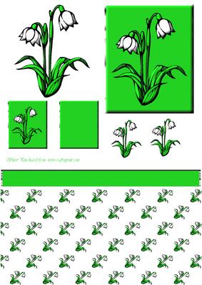Lily of the Valley