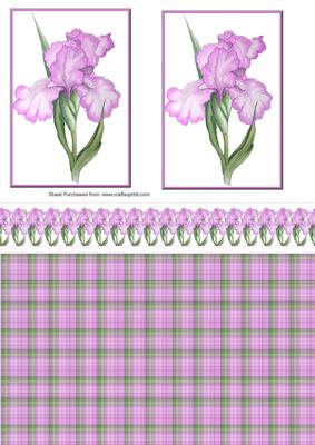 Lilac Flowers