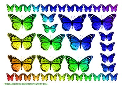 Butterflys