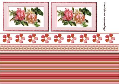 Rose;s