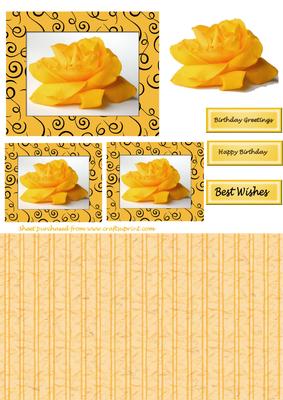 Yellow Roses