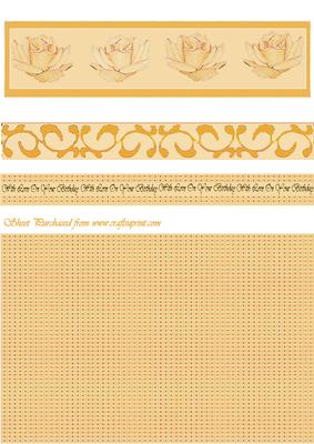 Cream Roses