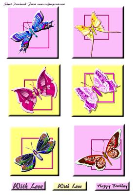 Butterflies 2