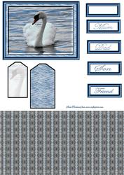 Swan