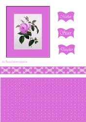 Pink Framed Rose