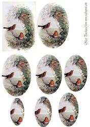 Robins