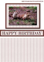 Otters