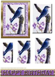 Blue Bird