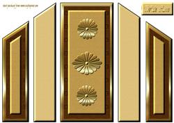 Brown & Gold Theatre Fold