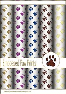 Paw Prints