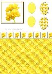 Yellow Flowers