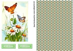 Butterflys & Daisies