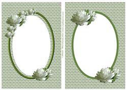 Floral Frames