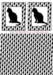 Lucky Black Cats