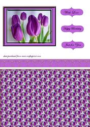 Mauve Tulips