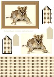 Lion Cub