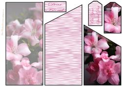 Azalea