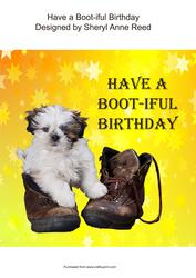 Have a Boot-iful Birthday (1)
