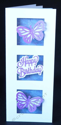 Slimline Butterfly Card and Envelope