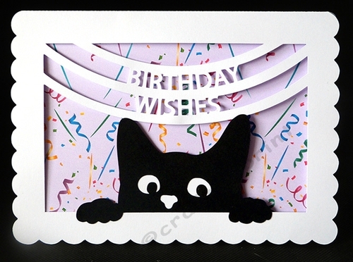 Birthday Wishes Cat Card with backing paper