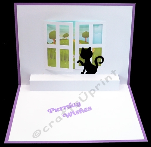 Cat in Window Pop Up Card with Backing Paper