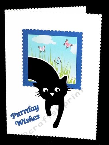 Peeping Cat Aperture Card with Backing Paper
