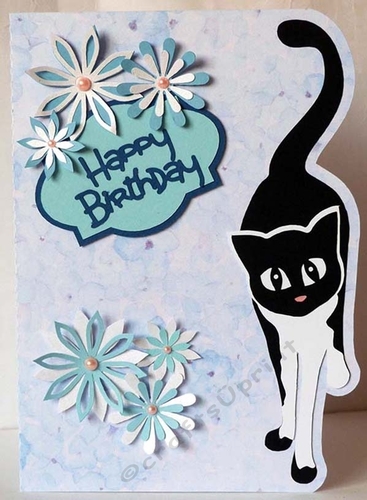 Cat Edge Card