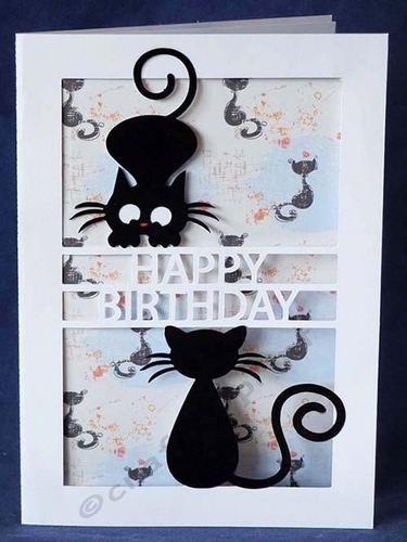 Cat Happy Birthday Card