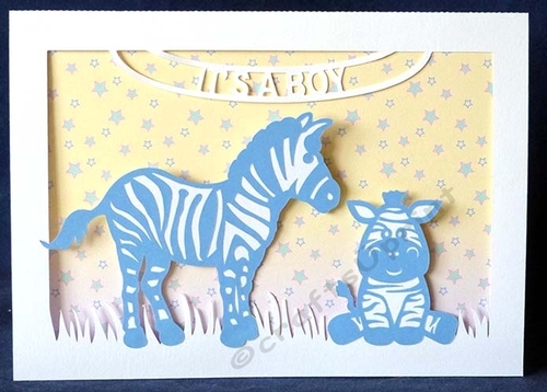 Its A Boy Zebra Card