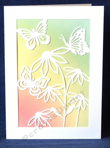 Daisies and Butterflies Card