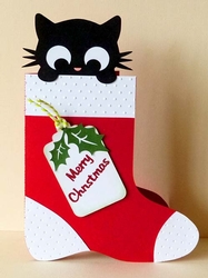 Cat in Christmas Stocking Card