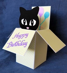 Cat in a Box Card