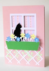Window Box Cat Card