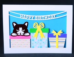 Birthday Cat Card