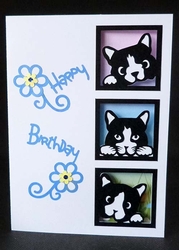 Three Cats Aperture Card