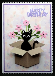 Box Cat Card