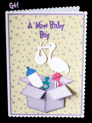 New Baby Box Card with Boy and Girl Letters