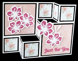 Floral Shutter Card