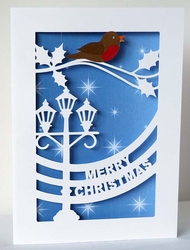 Robin and Lamp post Card