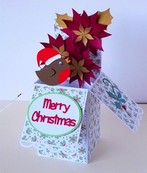 3D Robin & Poinsettia Popup Box Card