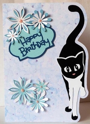 Cat Edge Card