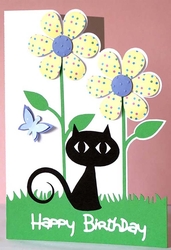 Wide Eyed Cat Card