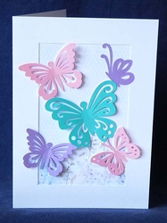 Butterflies, Butterflies Card