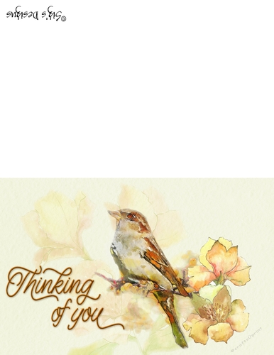 watercolor bird