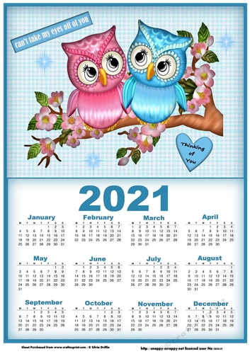 Owle - Cannot take my Eyes of you Calendar 2021