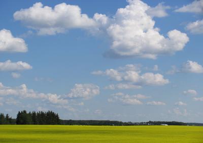 Cloudy Sky with Yellow Field
