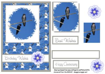 Purple Martin Birds Qs