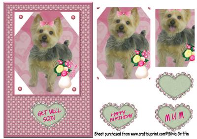 Little Dog with Flowers Qs